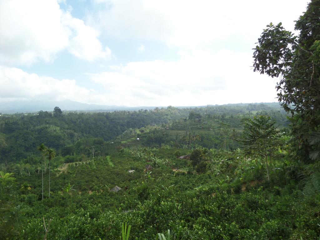 Senetan Villas And Spa Resort Ubud  Exterior photo